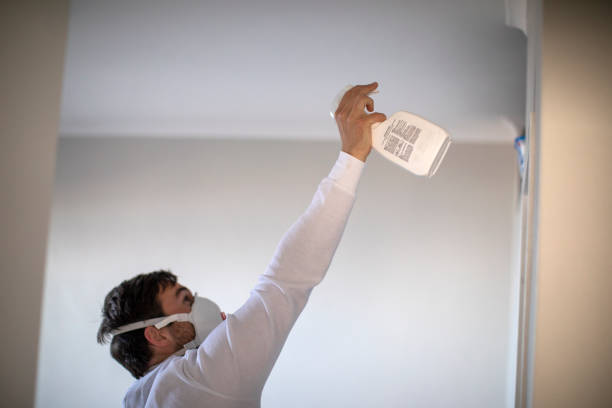 Best Same-Day Mold Removal  in Wakeman, OH