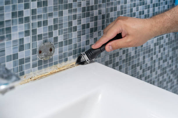 Best Fast Mold Removal  in Wakeman, OH